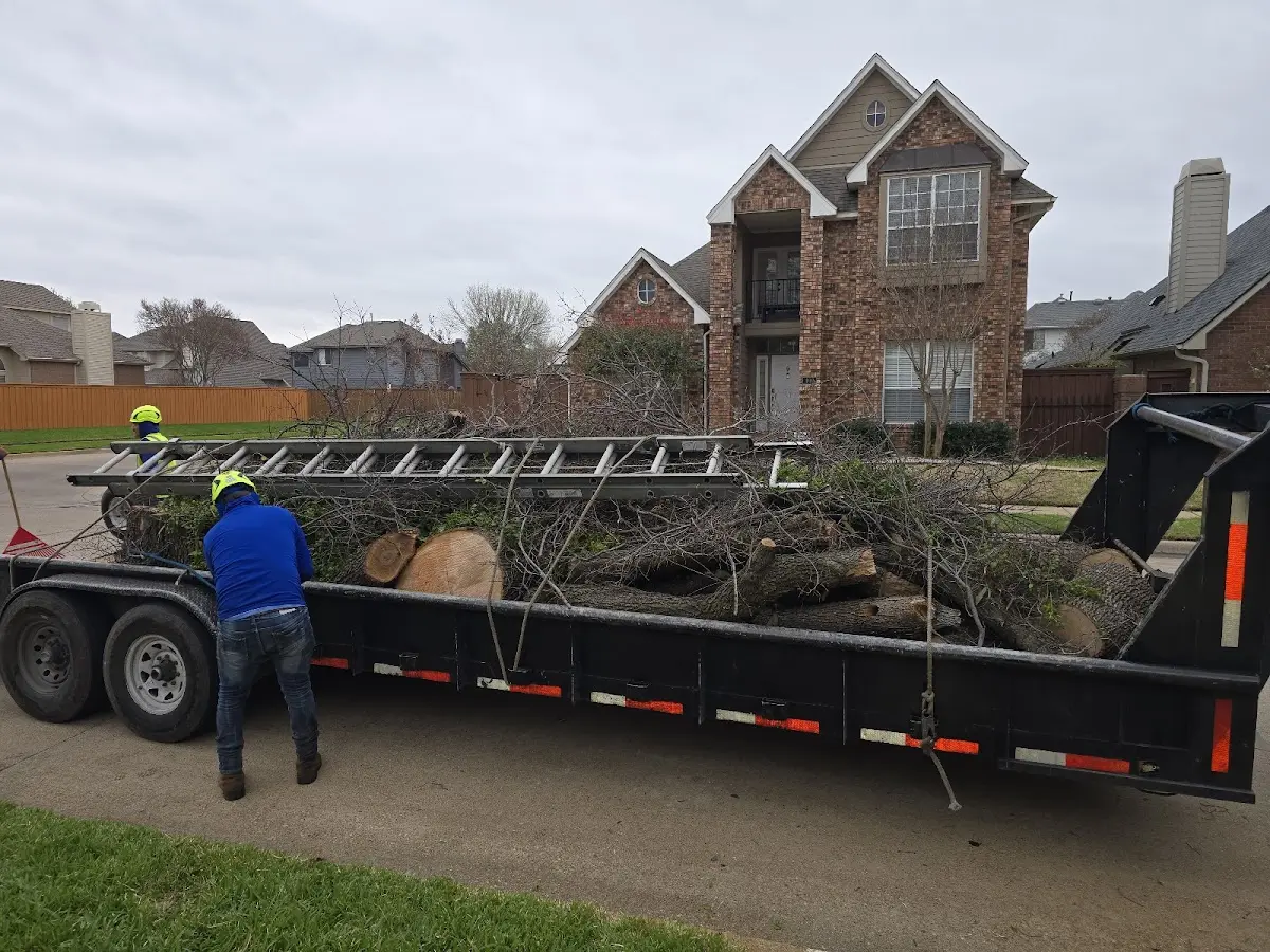 Expert Lot Clearing with proper safety equipment in Daingerfield